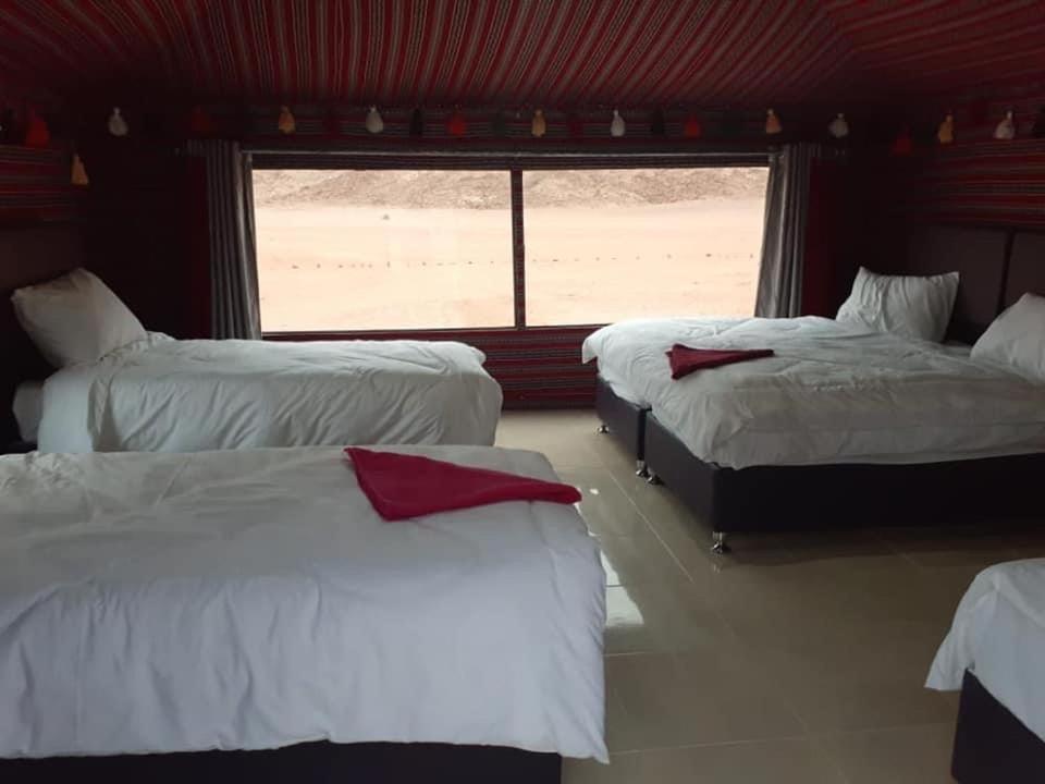 Black Irish Camp And Tours Wadi Rum Exterior photo