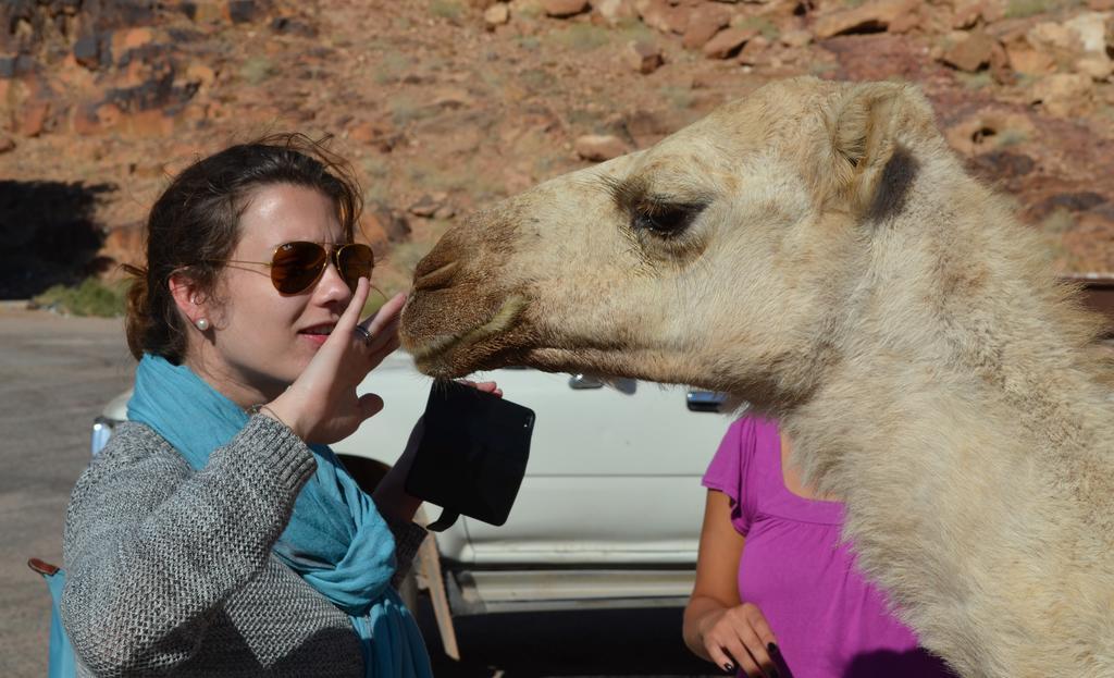 Black Irish Camp And Tours Wadi Rum Exterior photo