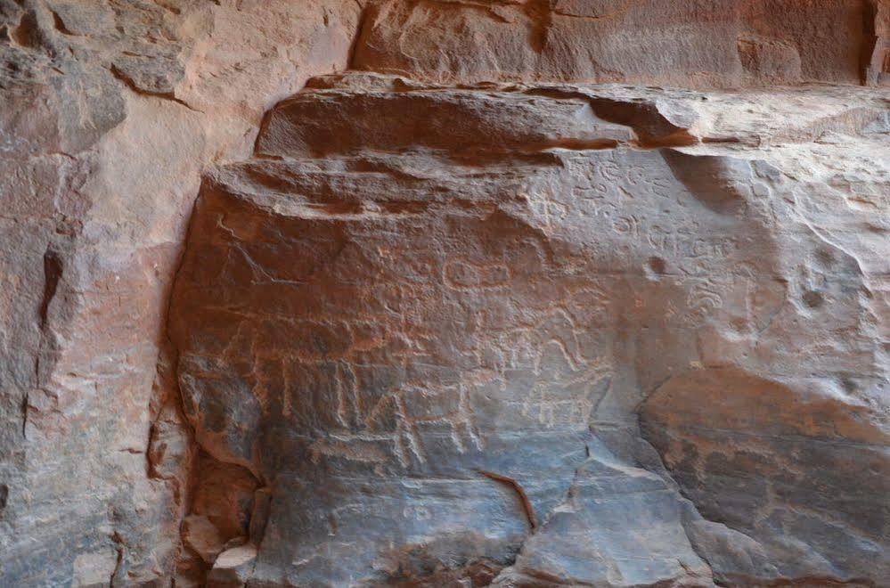 Black Irish Camp And Tours Wadi Rum Exterior photo